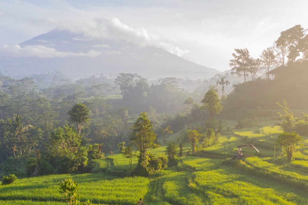 Rice terrace in front of a vulcano in Bali, Indonesia