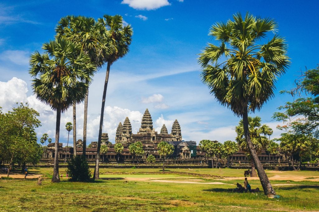 Palmen und Tempel in Kambodscha 