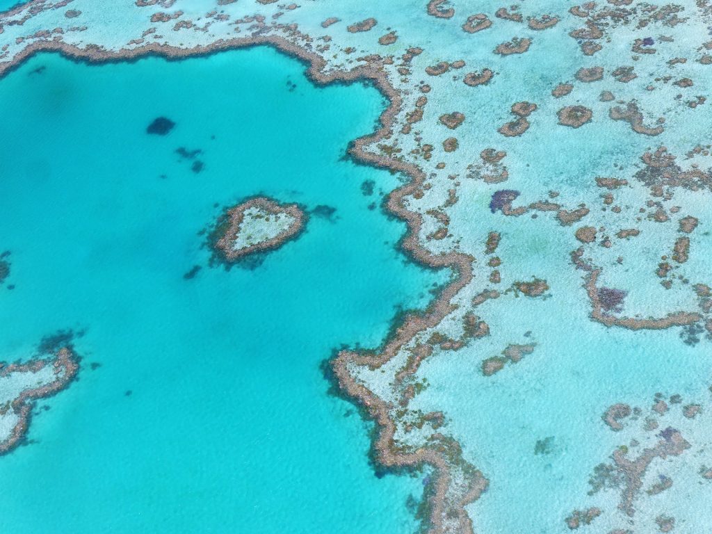 The great barrier reef in Australia is one of the most beautiful places in the world.