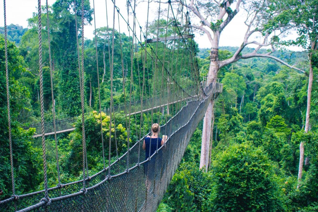 Hängebrücke in Costa Rica über einem tiefgrünen Dschungel.