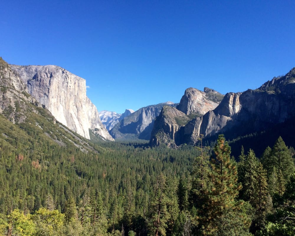 Yosemite National Park und El Capitan