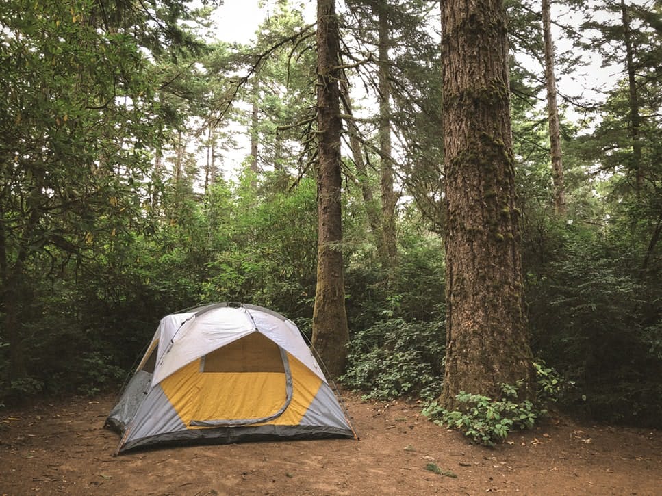Campingtipps: Grau-gelbes Zelt im Wald