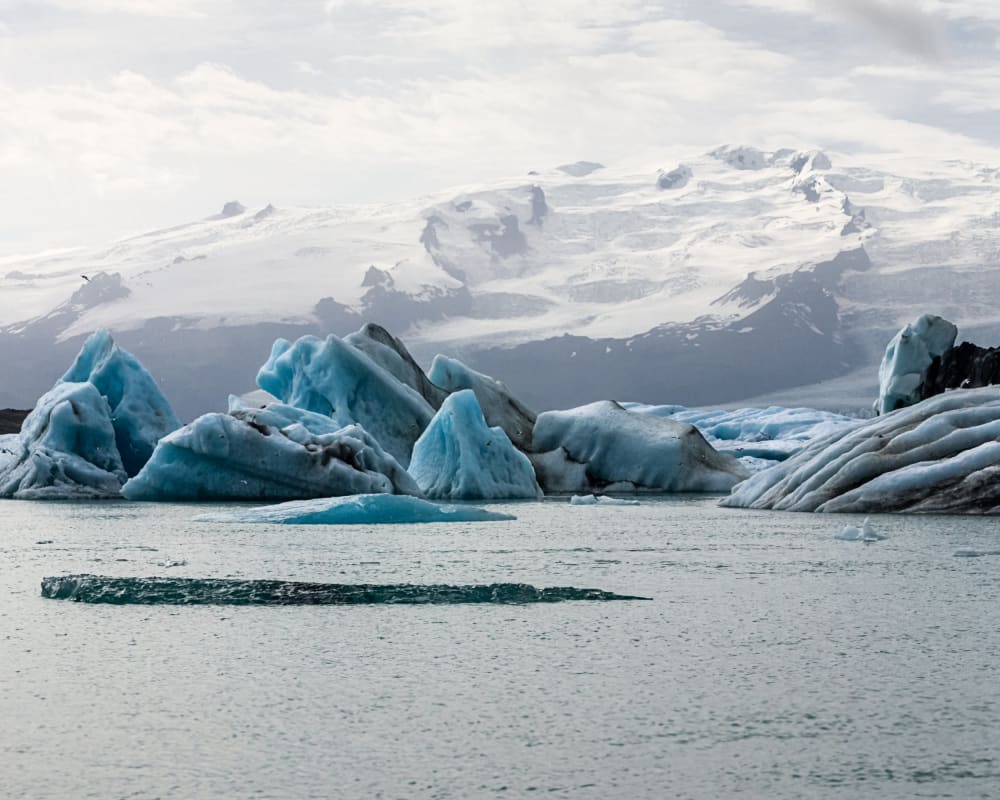 Bücher und Filme zum Thema Reisen: Gletschereis im Wasser in der Arktis