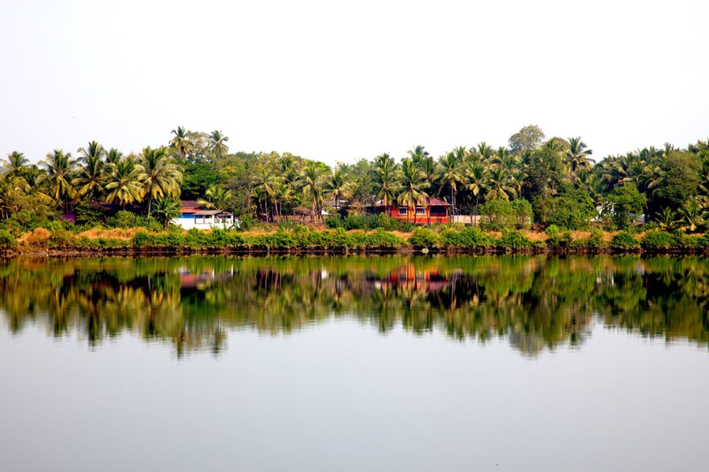  Goa with a view of the still water and houses on the shoreline