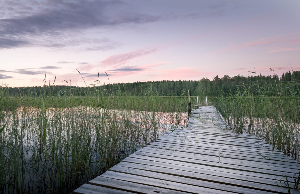 Ein Steg mit vielen Gräsern der zu einem See führt in Finnland.