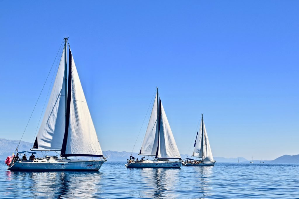 3 weiße Segelboote auf einem Gewässer und im Hintergrund ist Land zu sehen.