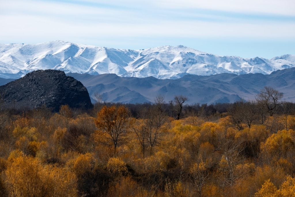 view of mountains covered by white snow whilst surrounded by orange autumn coloured leaves in the perfect photographer destination in Mongolia