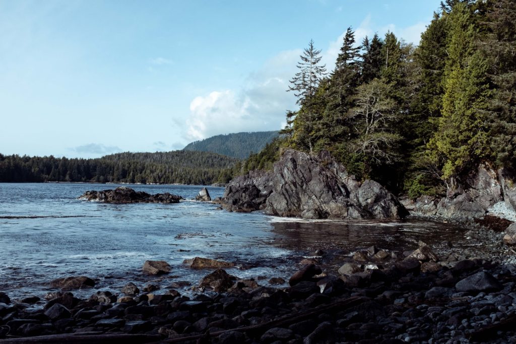 Tops spots in Vancouver Island with a view of the sea and forest 