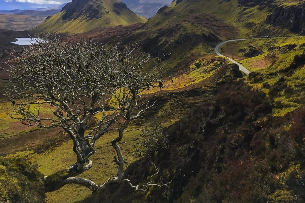 Quairing in Schottland mit dem schwebenden Baum