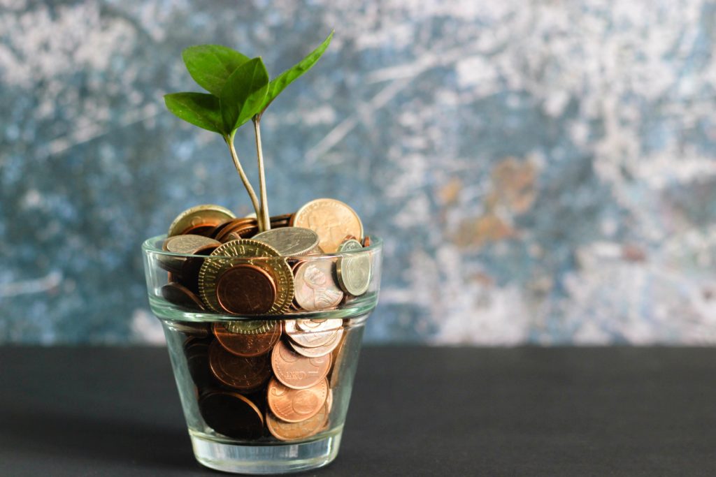 how to be the perfect trip leader - a little glass filled with money and a plant growing out of it