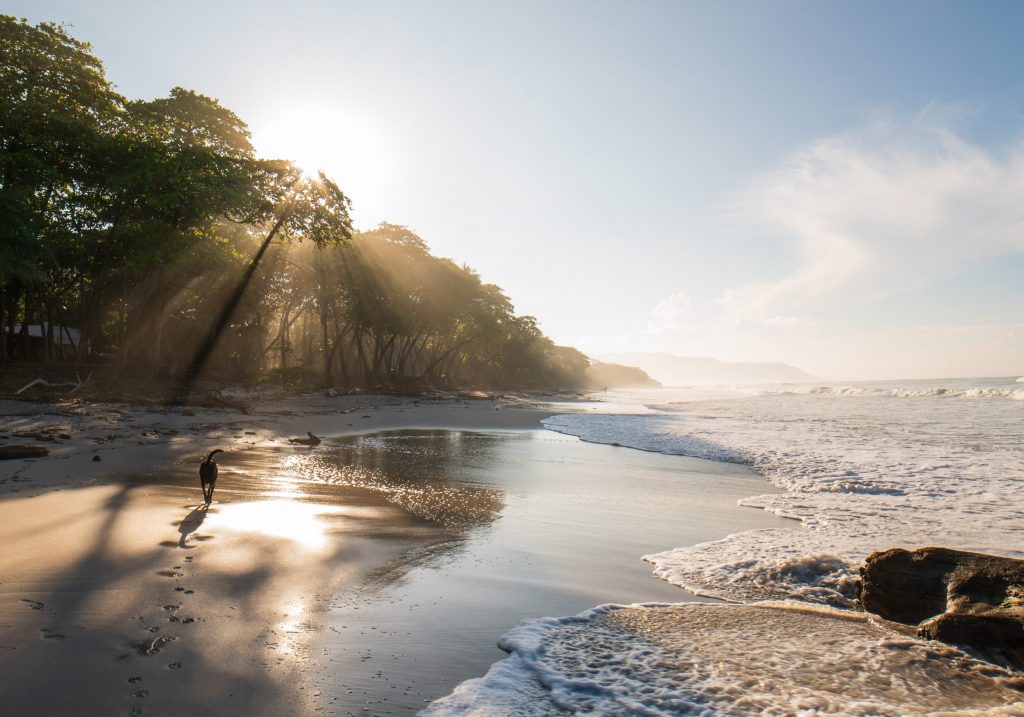 A beautiful beach in Costa Rica with the sun shining across it and the water reaching the shores