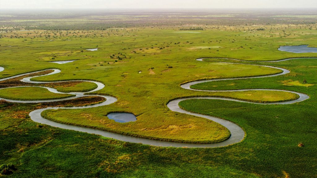 Okavango Delta in Botswana with an aerial view of the river and green land.