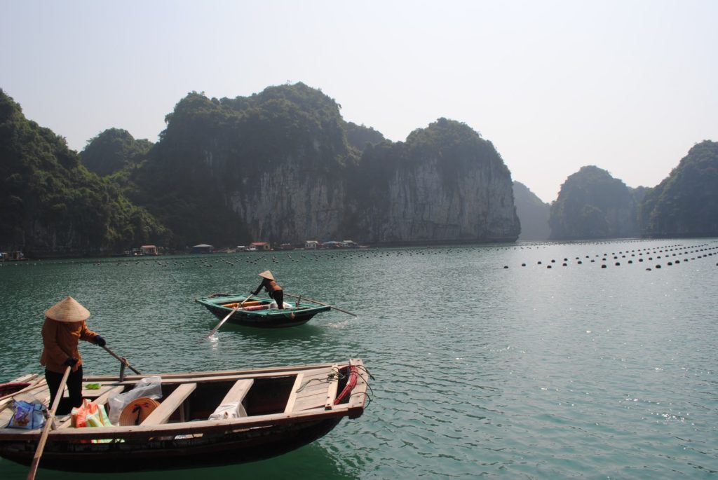 people on boats with rice hats surrounded by lime stone in the winter destination Vietnam