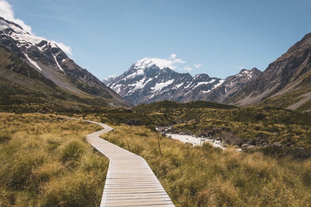 picture of wood path way going through Hoocker Valley Track in new zealand 