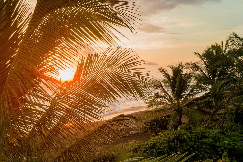 Strand in Costa Rica mit Palmen im Sonnenuntergang.