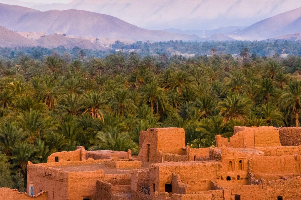 City in Morocco with trees during the sunset