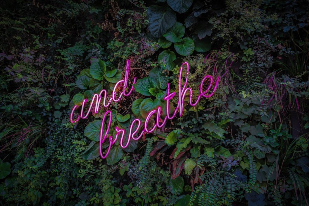 Pinkes Neon Zeichen mit den Worten and breathe an einer Wand aus grünen Kletterpflanzen 