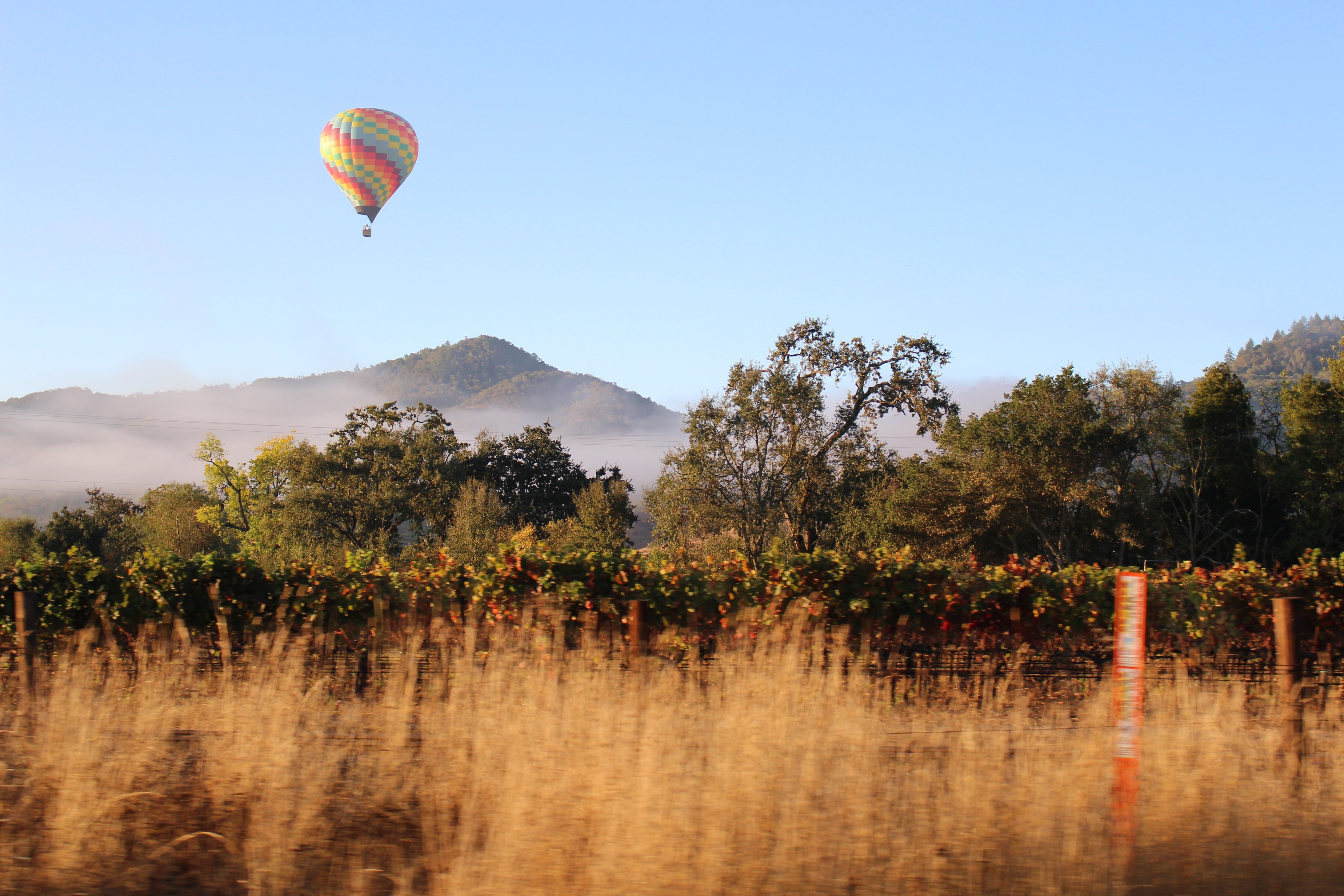 A hot air balloon over the wine fields in Napa Valley.