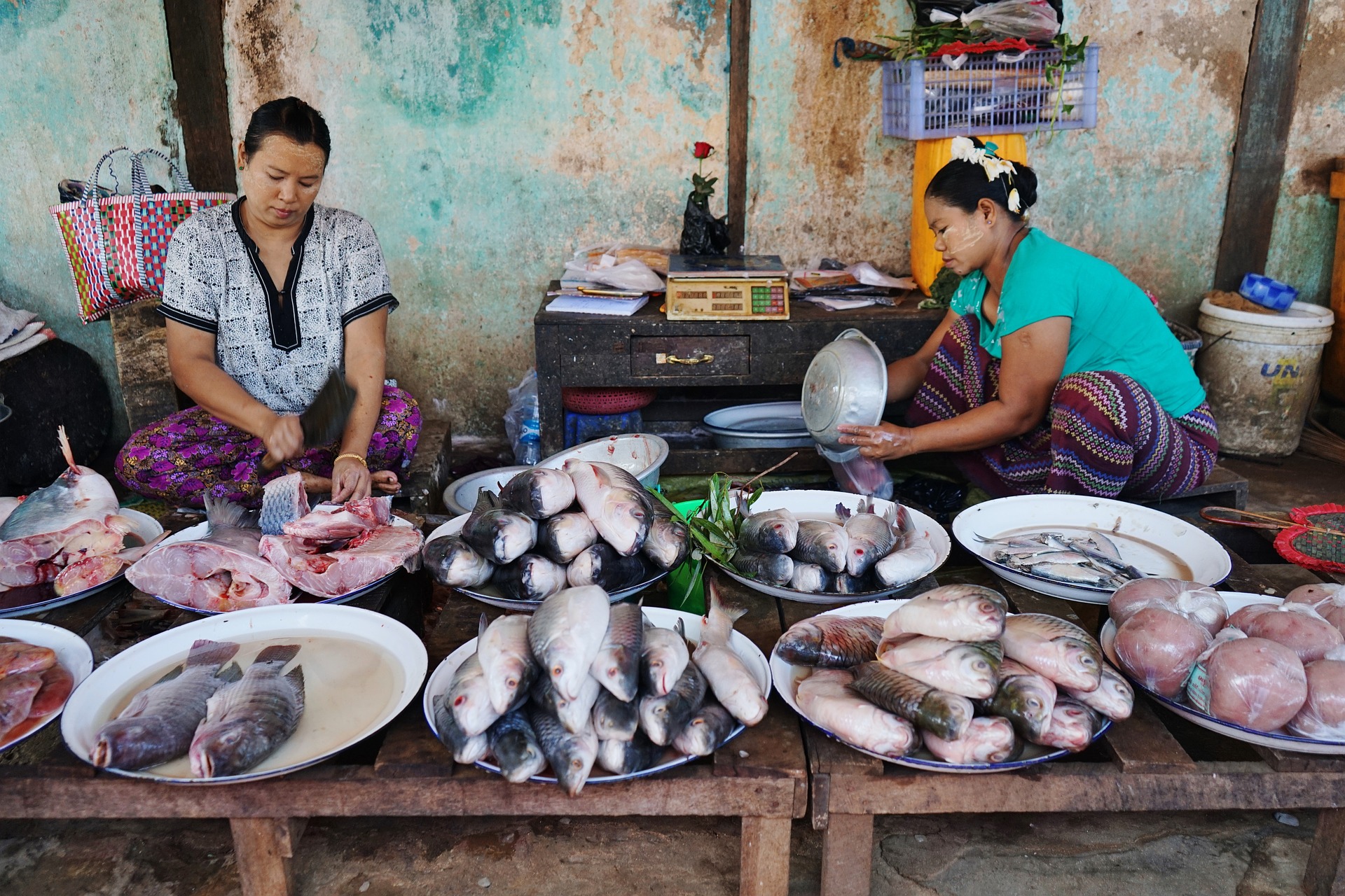 Two women selling seafood in Myanmar on the street