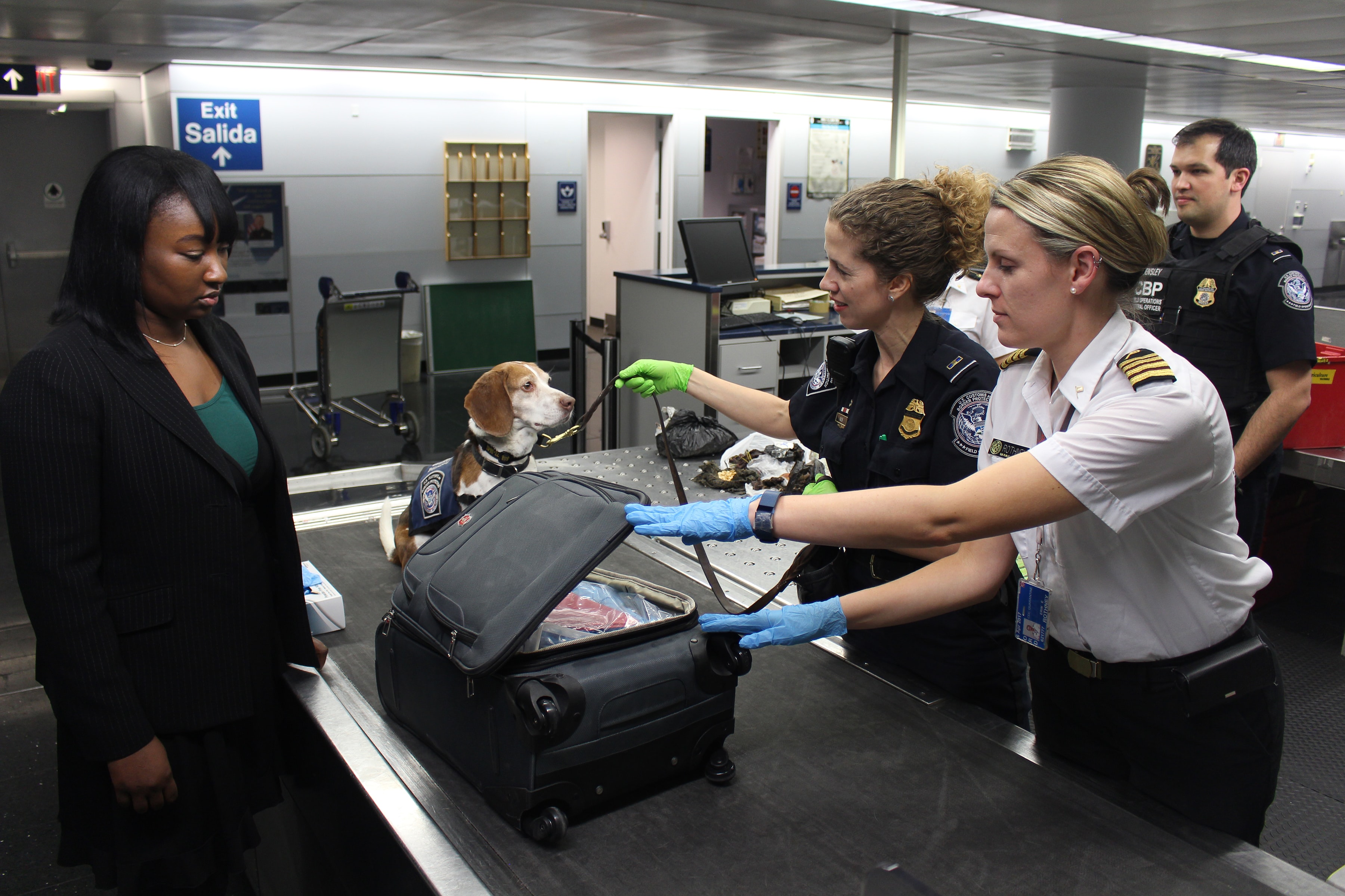 A suitcase and a dog going through airport security
