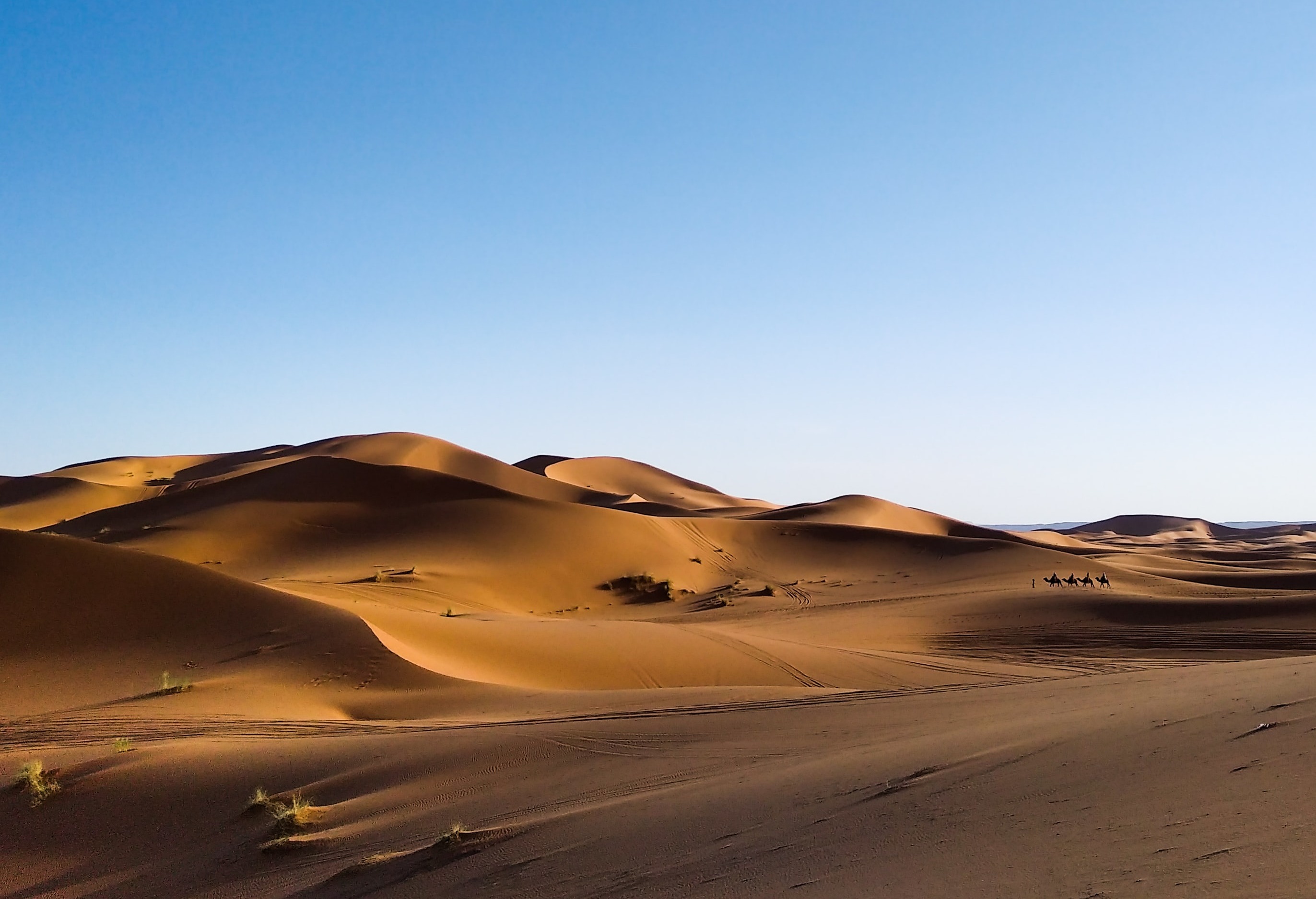 Saharan Desert, Morocco.
