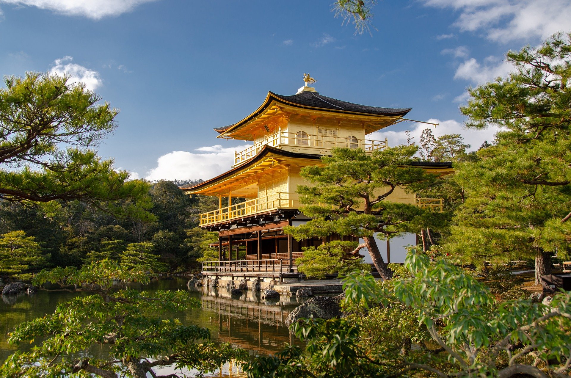 A temple surrounded by greenery by the lake in Japan