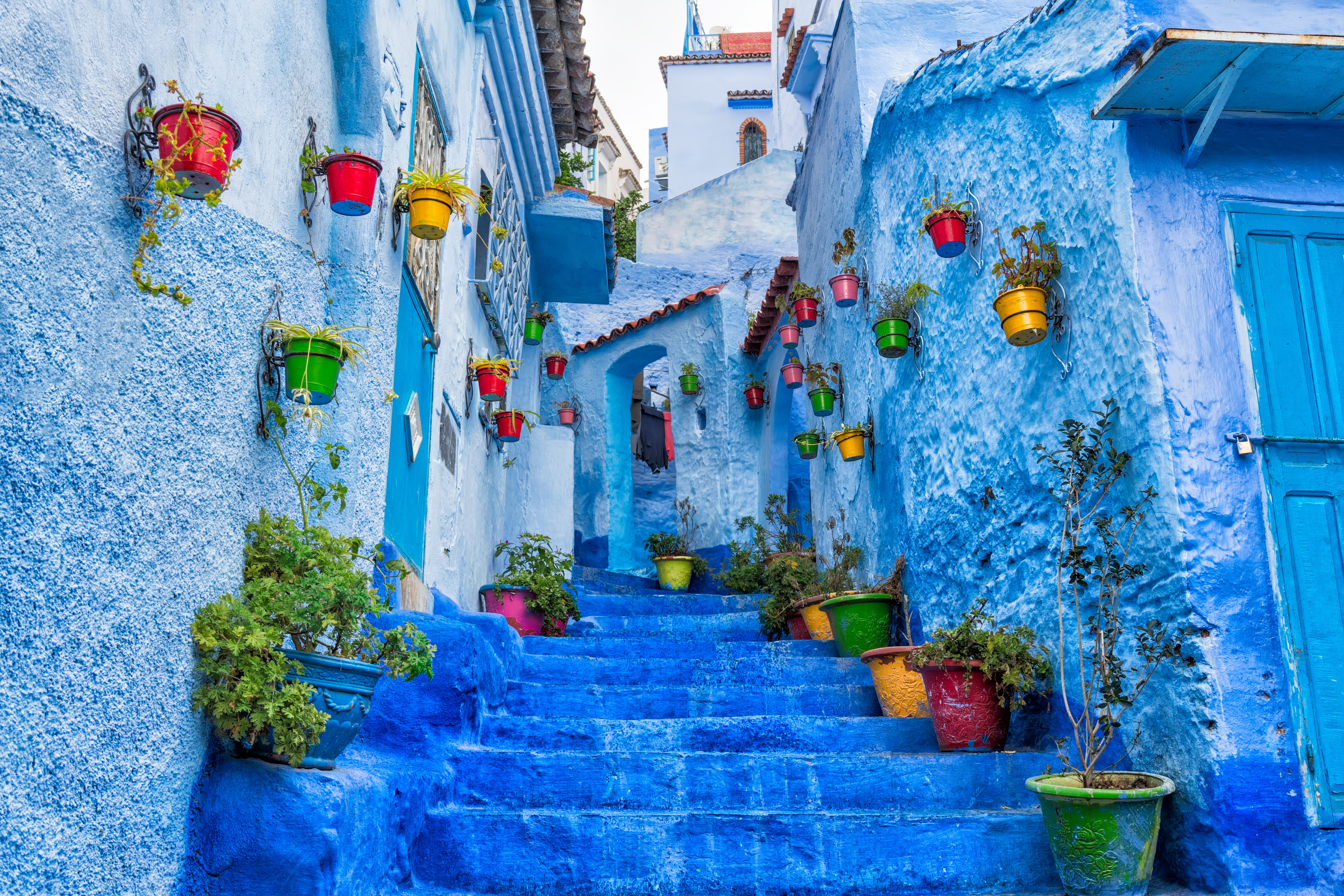 Blue street with plants on stairs in Morocco