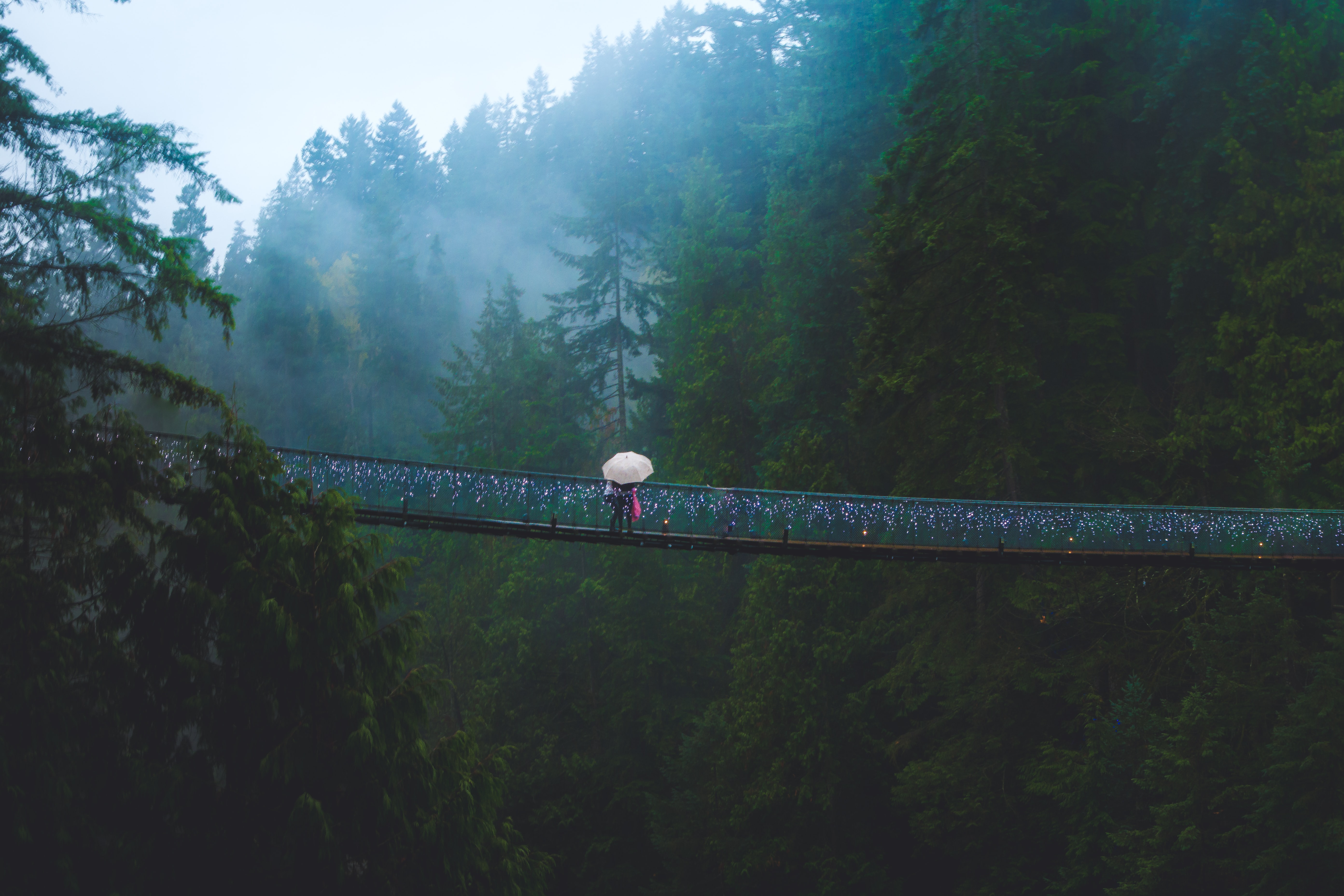Suspension bridge over lush forest on a rainy and foggy day