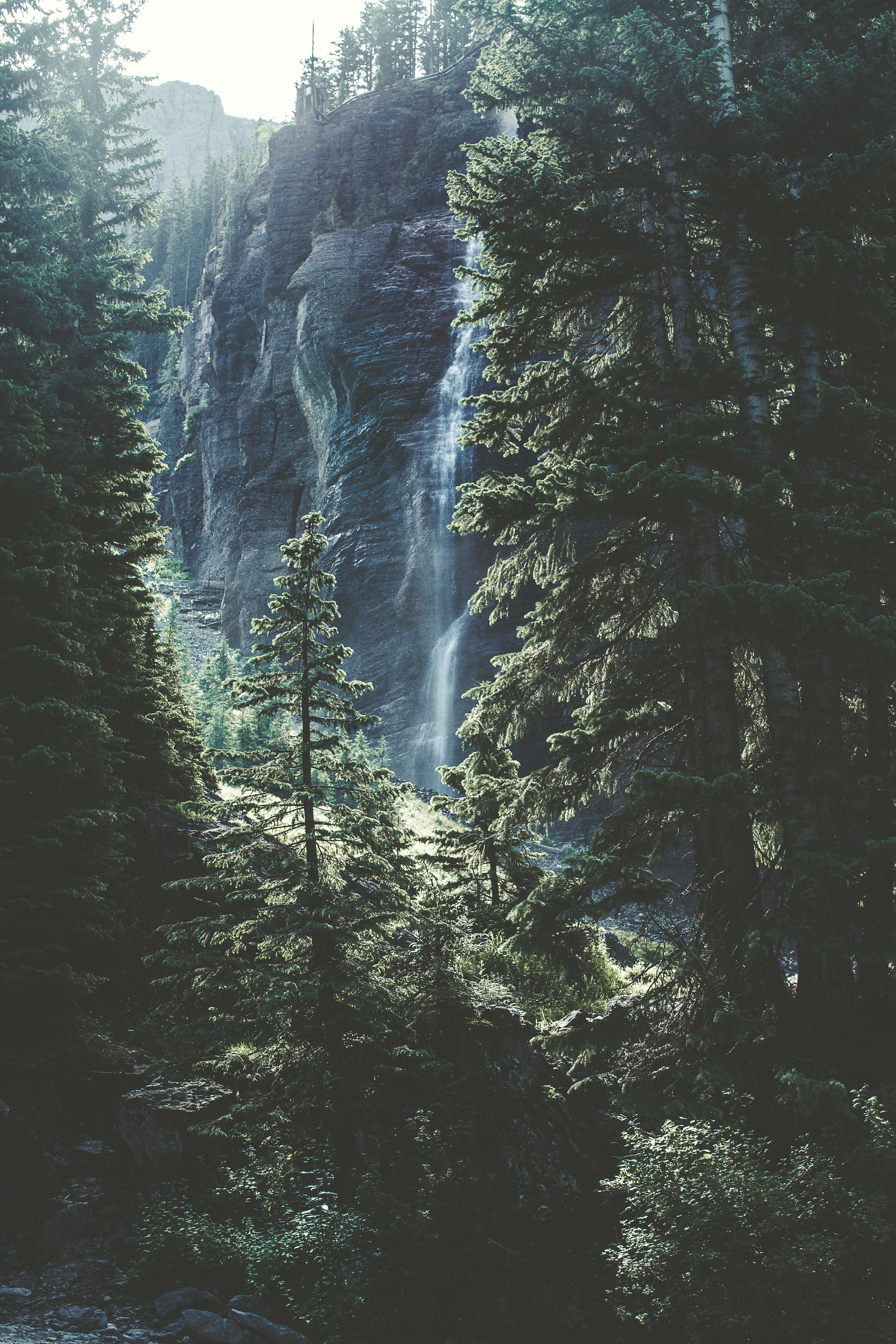 Ein grüner Wald, im Hintergrund sieht man einen kleinen Wasserfall. Das Bild wirkt sehr friendlich.