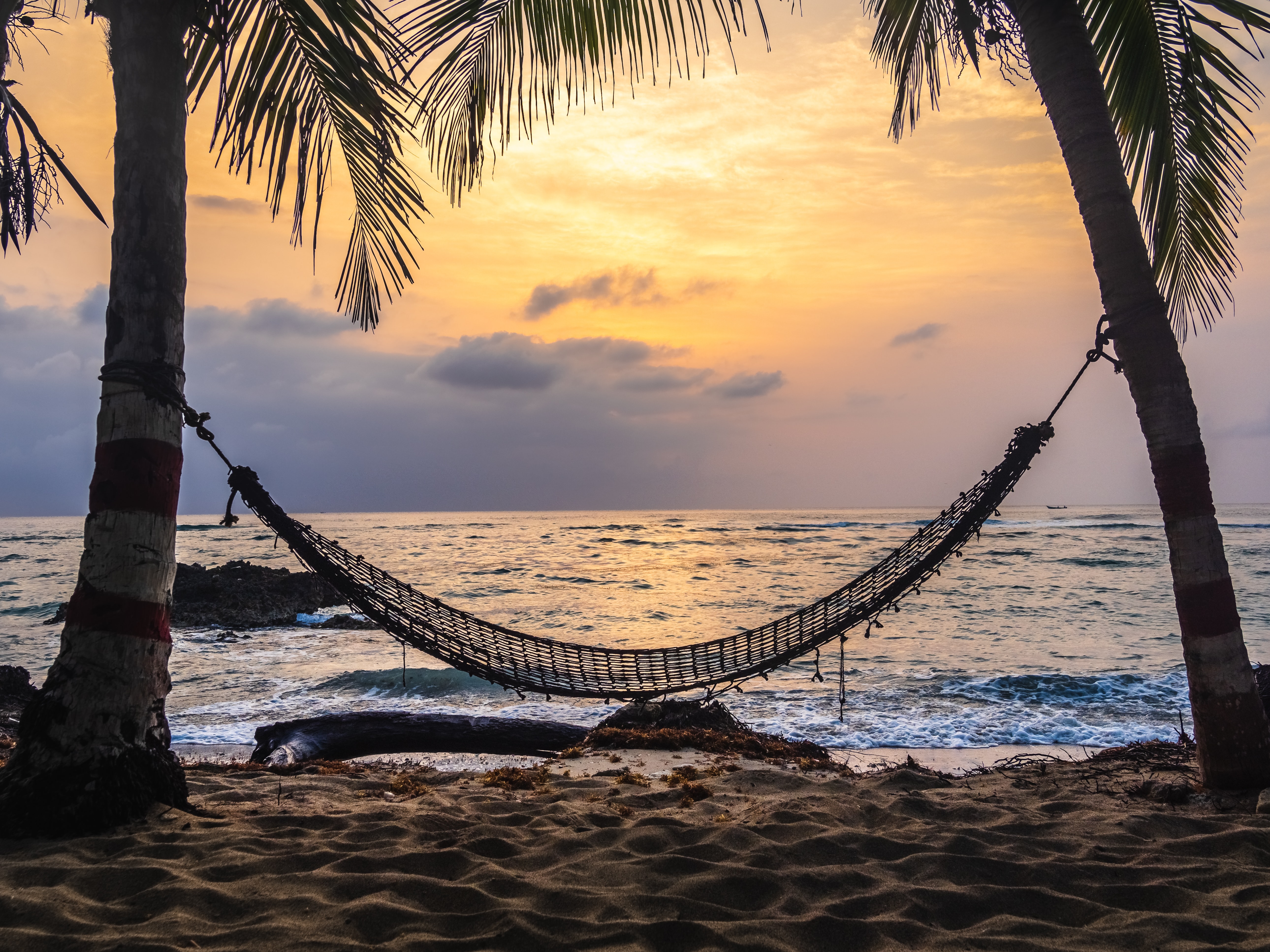 A hammock tied between two trees by the beach.