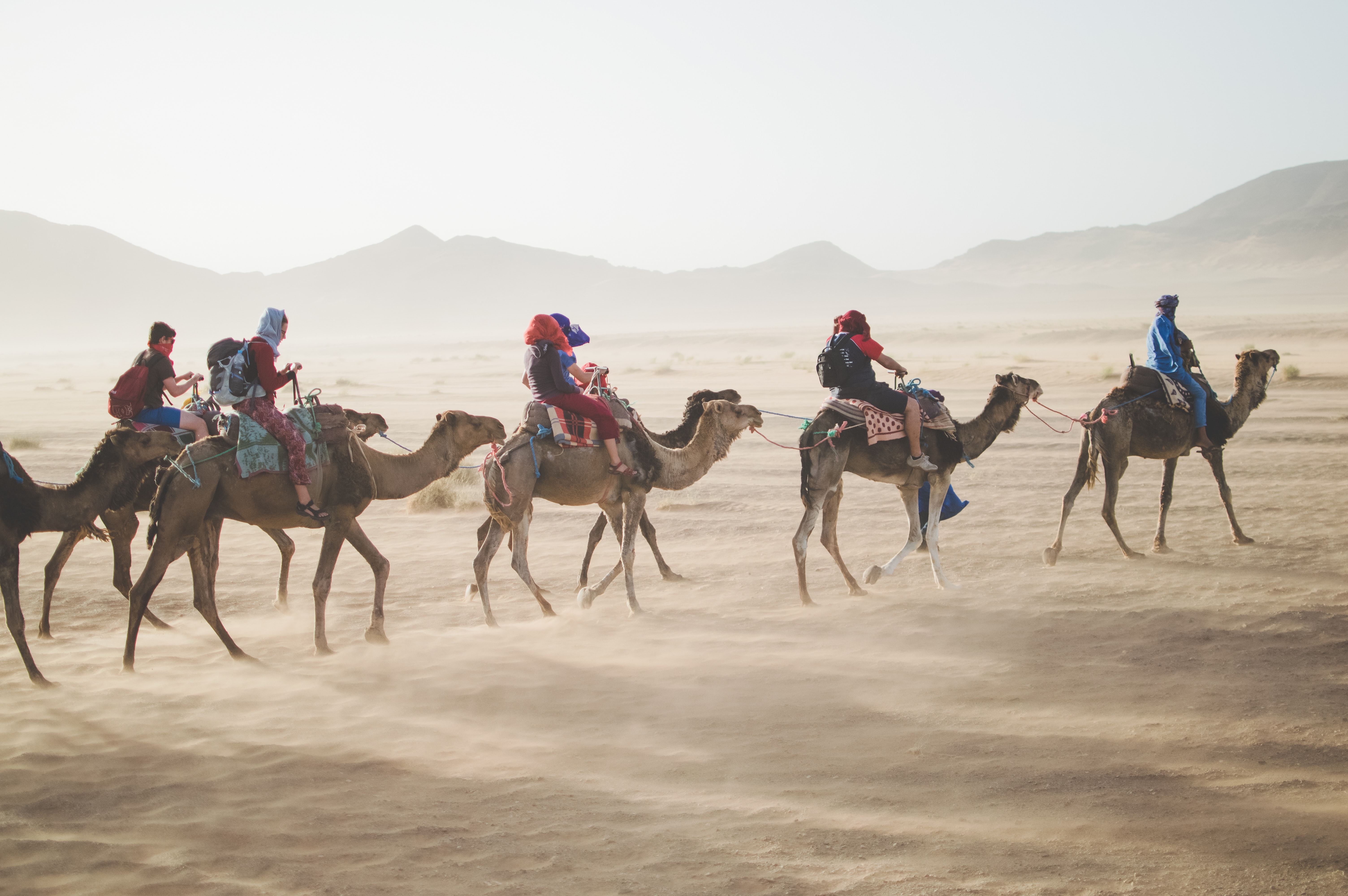 A group of people riding camels in Morocco