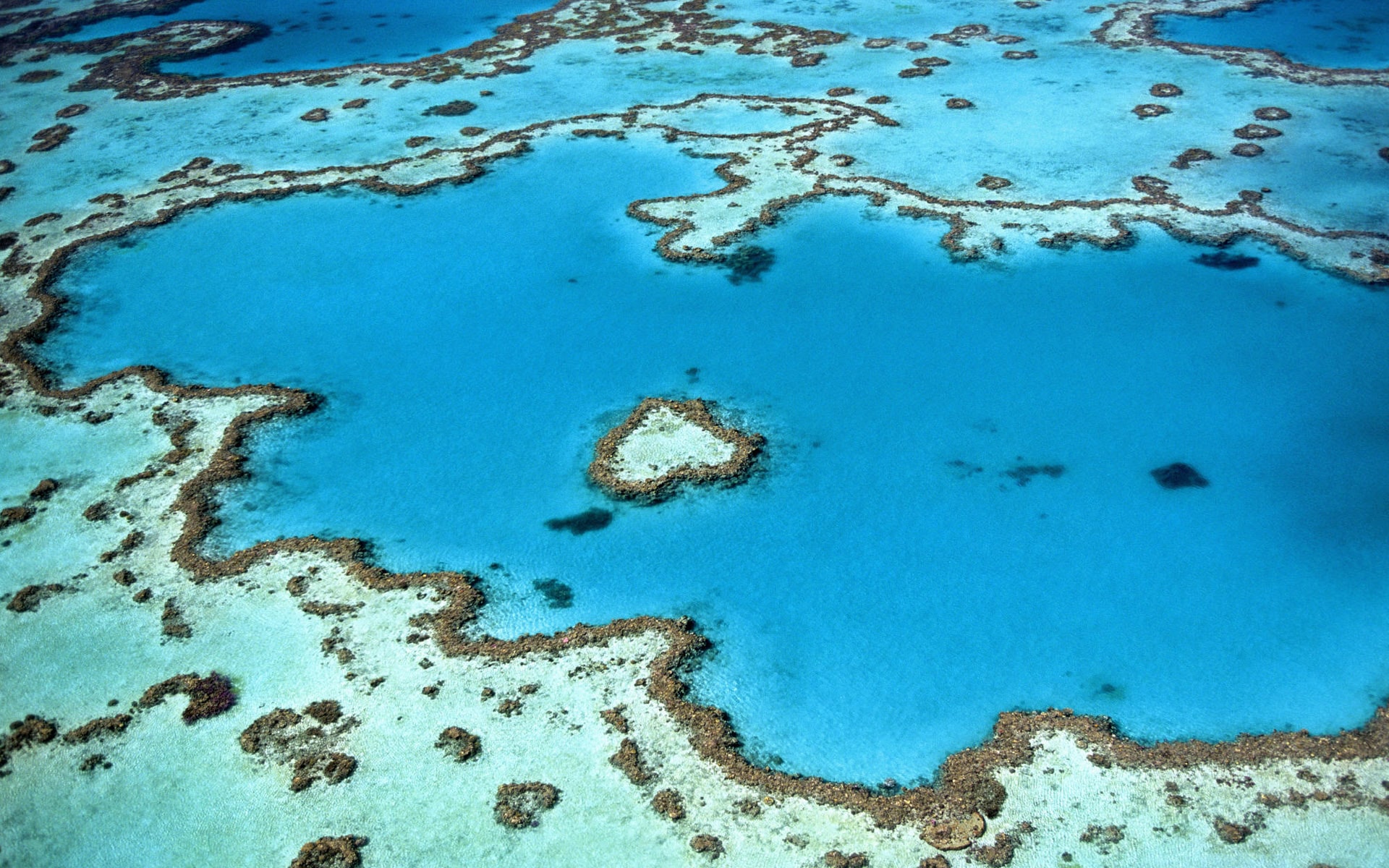 The great barrier reef, australia. 