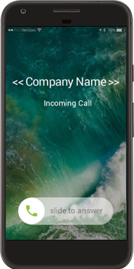 Mobile Call