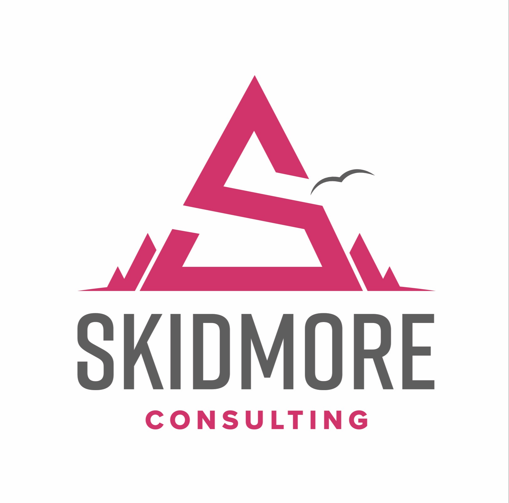 Skidmore Consulting LLC