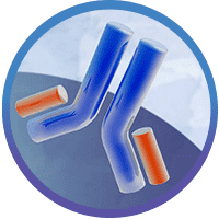 Mps Antibody Discovery