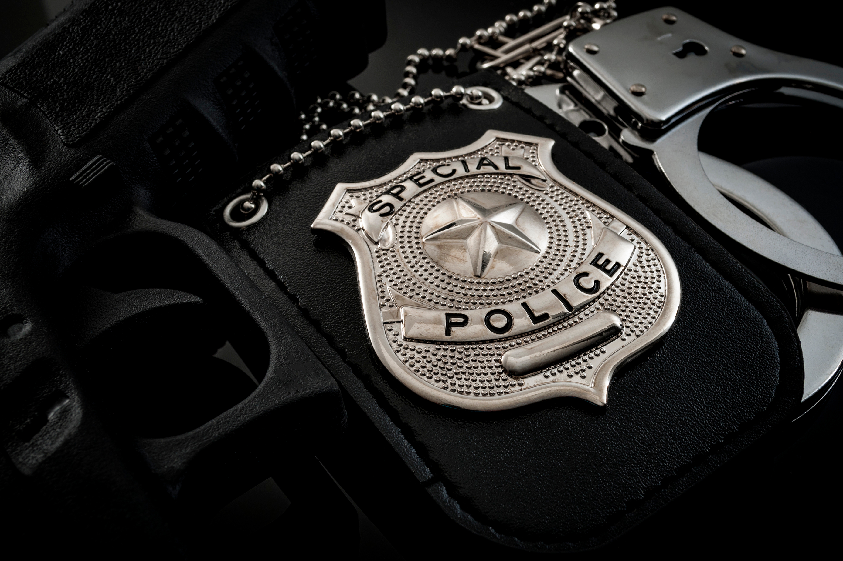 Domestic Law Enforcement Agency